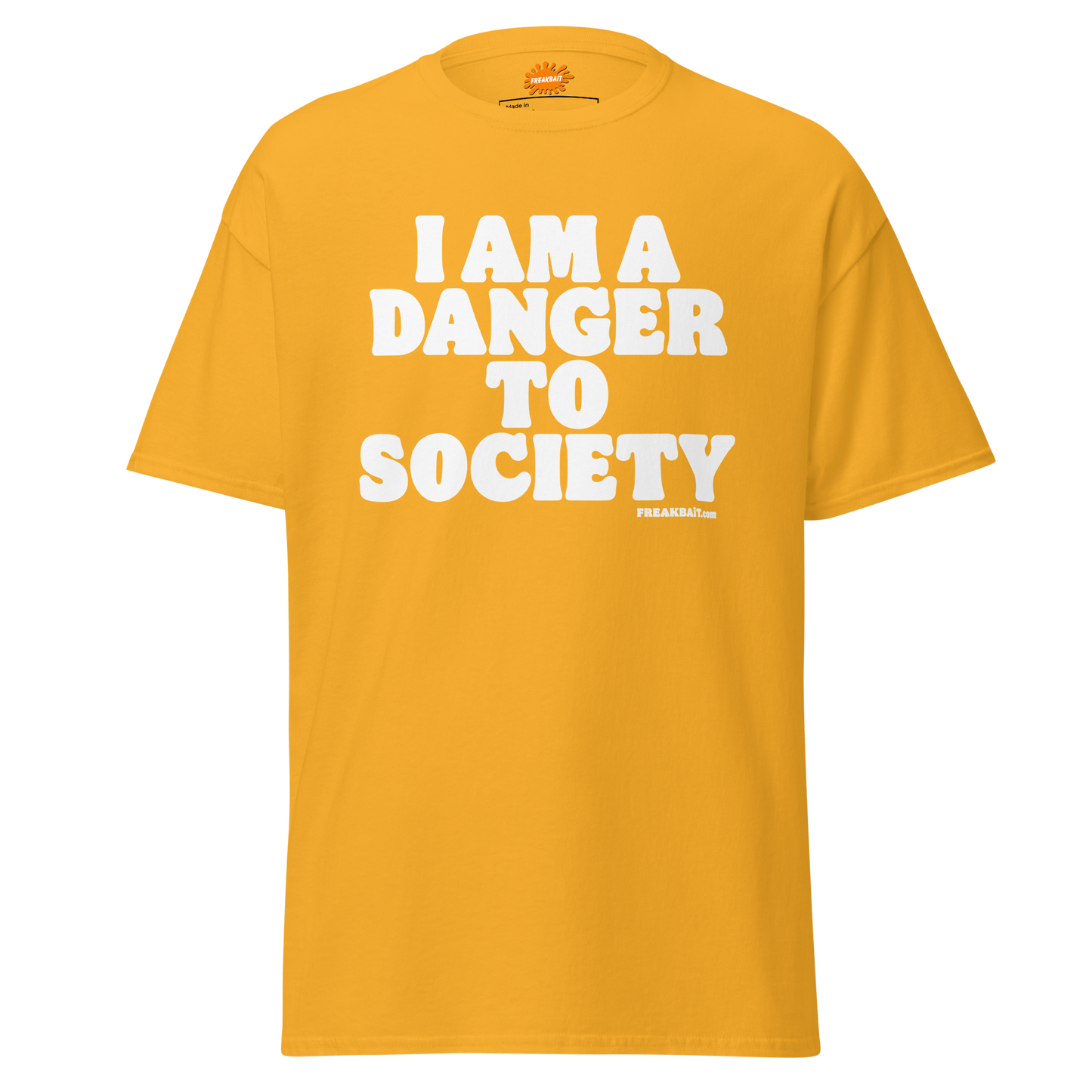 DANGER TO SOCIETY (shirt)