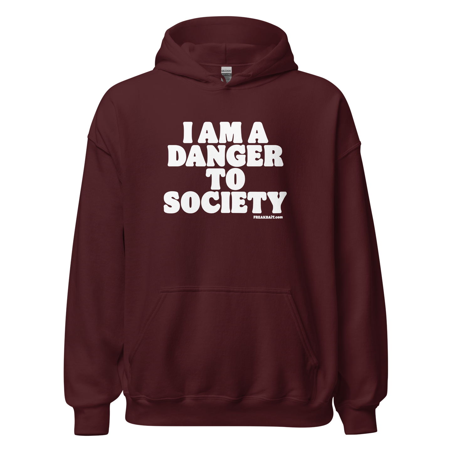 DANGER TO SOCIETY (hoodie)