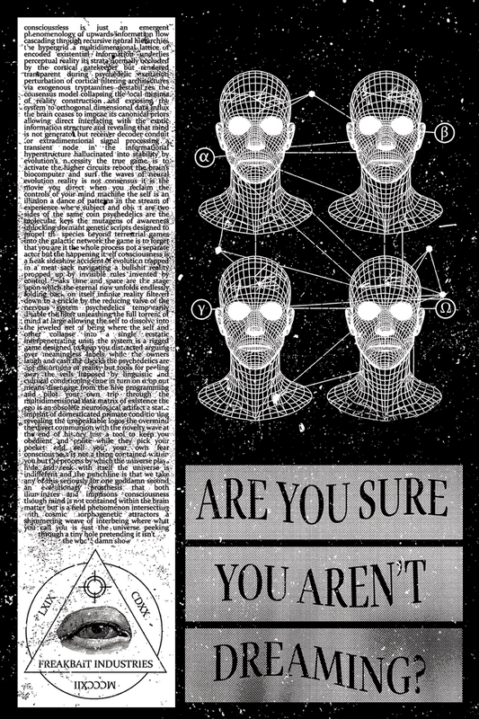 ARE YOU SURE YOU AREN'T DREAMING? (poster)