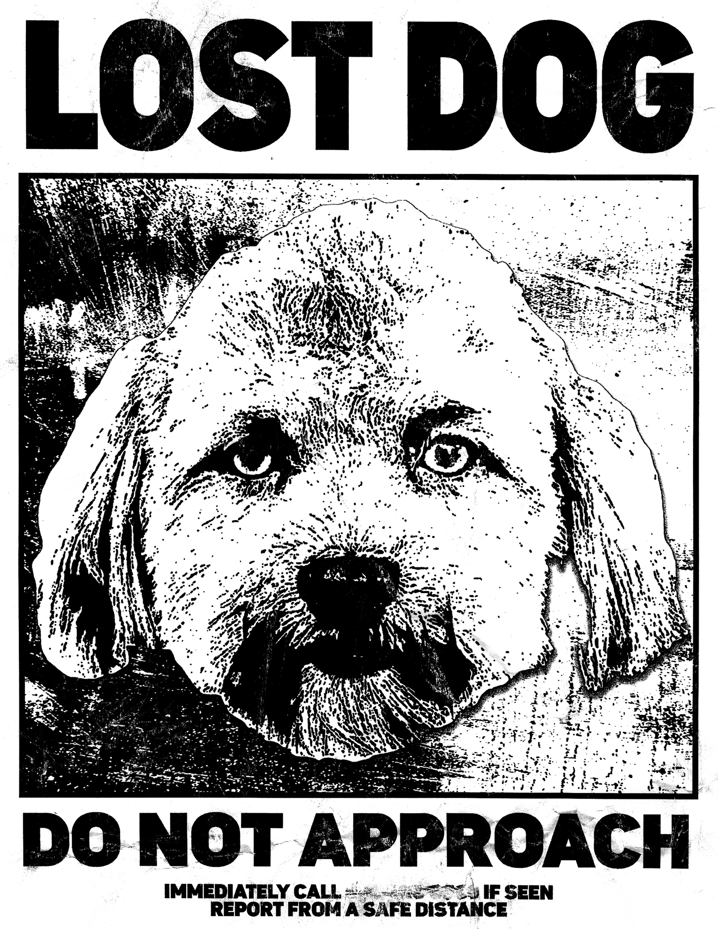 LOST DOG (handbill)