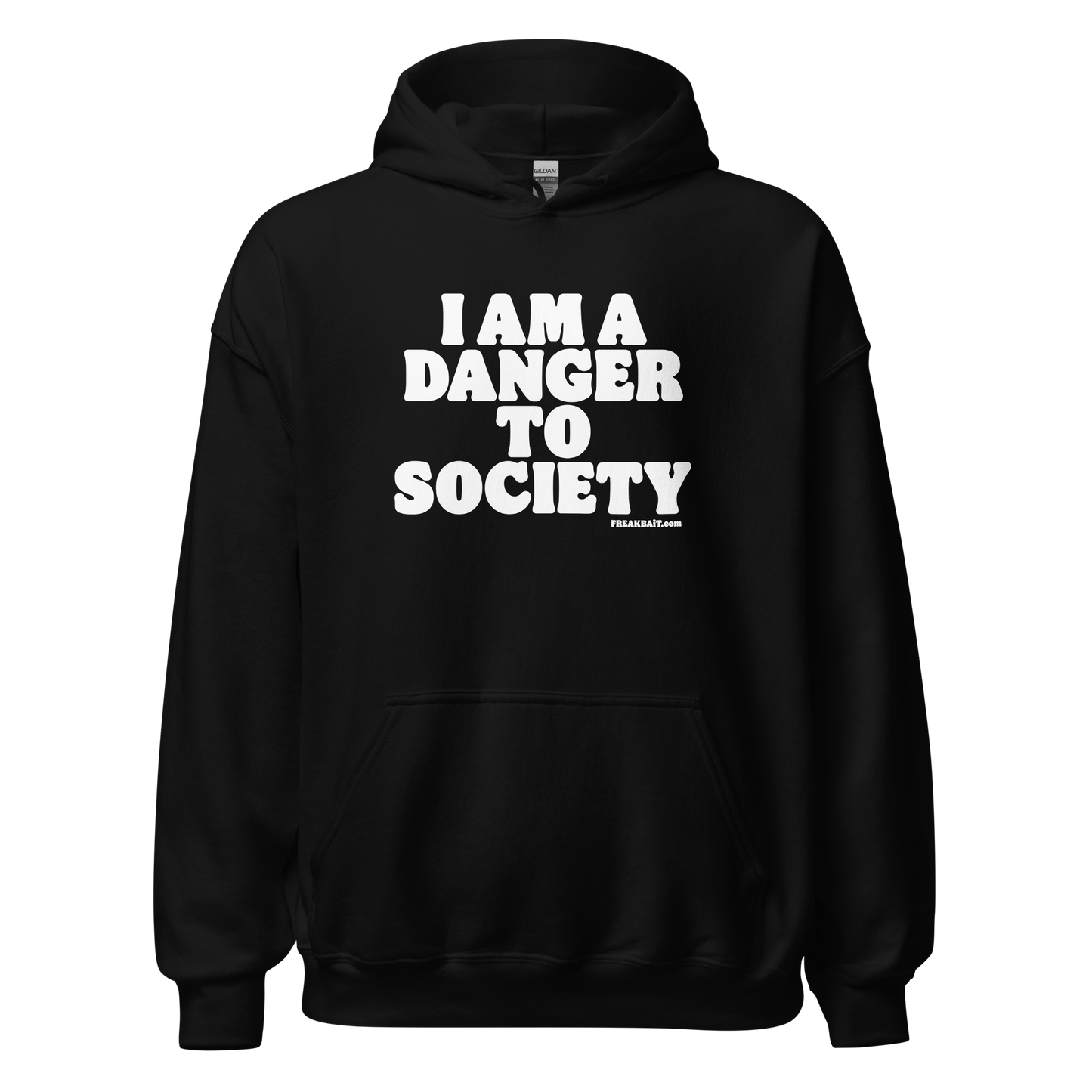 DANGER TO SOCIETY (hoodie)