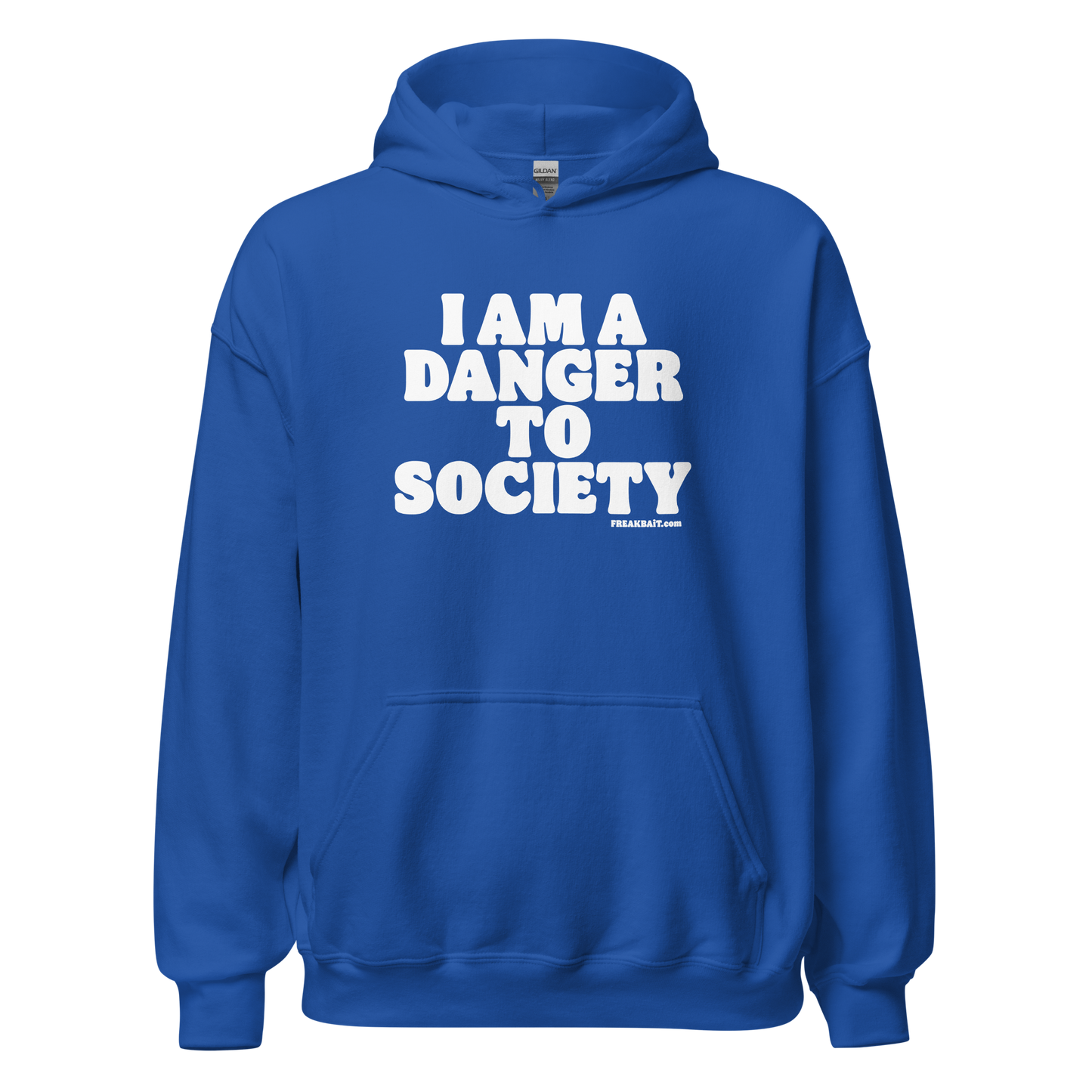 DANGER TO SOCIETY (hoodie)